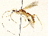  ( - BIOUG73032-C08)  @11 [ ] CreativeCommons - Attribution (2022) CBG Photography Group Centre for Biodiversity Genomics