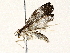  ( - BIOUG73032-E04)  @11 [ ] CreativeCommons - Attribution (2022) CBG Photography Group Centre for Biodiversity Genomics