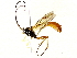  ( - BIOUG73032-G10)  @11 [ ] CreativeCommons - Attribution (2022) CBG Photography Group Centre for Biodiversity Genomics