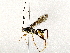 ( - BIOUG73032-H02)  @11 [ ] CreativeCommons - Attribution (2022) CBG Photography Group Centre for Biodiversity Genomics