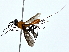 ( - BIOUG73631-B08)  @11 [ ] CreativeCommons - Attribution (2022) CBG Photography Group Centre for Biodiversity Genomics