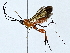  ( - BIOUG73631-B12)  @11 [ ] CreativeCommons - Attribution (2022) CBG Photography Group Centre for Biodiversity Genomics