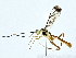  ( - BIOUG73631-C11)  @11 [ ] CreativeCommons - Attribution (2022) CBG Photography Group Centre for Biodiversity Genomics