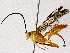  ( - BIOUG76517-A03)  @11 [ ] CreativeCommons - Attribution (2022) CBG Photography Group Centre for Biodiversity Genomics