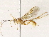  ( - BIOUG76517-A08)  @11 [ ] CreativeCommons - Attribution (2022) CBG Photography Group Centre for Biodiversity Genomics