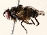 ( - BIOUG76517-E08)  @11 [ ] CreativeCommons - Attribution (2022) CBG Photography Group Centre for Biodiversity Genomics