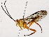  ( - BIOUG76517-G04)  @11 [ ] CreativeCommons - Attribution (2022) CBG Photography Group Centre for Biodiversity Genomics
