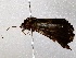  ( - BIOUG76517-H04)  @11 [ ] CreativeCommons - Attribution (2022) CBG Photography Group Centre for Biodiversity Genomics