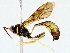  ( - BIOUG76518-A07)  @11 [ ] CreativeCommons - Attribution (2022) CBG Photography Group Centre for Biodiversity Genomics