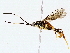 ( - BIOUG76518-A08)  @11 [ ] CreativeCommons - Attribution (2022) CBG Photography Group Centre for Biodiversity Genomics