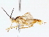  ( - BIOUG76518-A10)  @11 [ ] CreativeCommons - Attribution (2022) CBG Photography Group Centre for Biodiversity Genomics