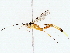  ( - BIOUG76518-B02)  @11 [ ] CreativeCommons - Attribution (2022) CBG Photography Group Centre for Biodiversity Genomics