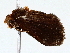  ( - BIOUG76518-D09)  @11 [ ] CreativeCommons - Attribution (2022) CBG Photography Group Centre for Biodiversity Genomics