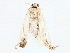  ( - BIOUG76518-E03)  @11 [ ] CreativeCommons - Attribution (2022) CBG Photography Group Centre for Biodiversity Genomics