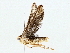  ( - BIOUG76518-E04)  @11 [ ] CreativeCommons - Attribution (2022) CBG Photography Group Centre for Biodiversity Genomics