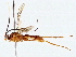  ( - BIOUG76518-G10)  @11 [ ] CreativeCommons - Attribution (2022) CBG Photography Group Centre for Biodiversity Genomics