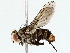  ( - BIOUG76519-B03)  @11 [ ] CreativeCommons - Attribution (2022) CBG Photography Group Centre for Biodiversity Genomics