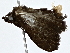  ( - BIOUG76544-E10)  @11 [ ] CreativeCommons - Attribution (2022) CBG Photography Group Centre for Biodiversity Genomics