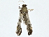  ( - BIOUG76545-A12)  @11 [ ] CreativeCommons - Attribution (2022) CBG Photography Group Centre for Biodiversity Genomics