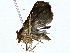  ( - BIOUG76545-B04)  @11 [ ] CreativeCommons - Attribution (2022) CBG Photography Group Centre for Biodiversity Genomics