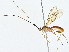  ( - BIOUG76545-F04)  @11 [ ] CreativeCommons - Attribution (2022) CBG Photography Group Centre for Biodiversity Genomics