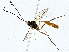  ( - BIOUG76545-G08)  @11 [ ] CreativeCommons - Attribution (2022) CBG Photography Group Centre for Biodiversity Genomics