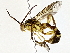  ( - BIOUG76546-H02)  @11 [ ] CreativeCommons - Attribution (2022) CBG Photography Group Centre for Biodiversity Genomics