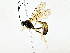  ( - BIOUG76546-H08)  @11 [ ] CreativeCommons - Attribution (2022) CBG Photography Group Centre for Biodiversity Genomics
