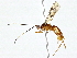  ( - BIOUG76546-H09)  @11 [ ] CreativeCommons - Attribution (2022) CBG Photography Group Centre for Biodiversity Genomics