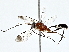  ( - BIOUG76547-A05)  @11 [ ] CreativeCommons - Attribution (2022) CBG Photography Group Centre for Biodiversity Genomics