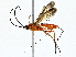  ( - BIOUG76547-E04)  @11 [ ] CreativeCommons - Attribution (2022) CBG Photography Group Centre for Biodiversity Genomics