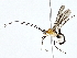  ( - BIOUG76547-F07)  @11 [ ] CreativeCommons - Attribution (2022) CBG Photography Group Centre for Biodiversity Genomics