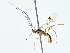  ( - BIOUG76548-A03)  @11 [ ] CreativeCommons - Attribution (2022) CBG Photography Group Centre for Biodiversity Genomics