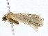 ( - BIOUG76548-B02)  @11 [ ] CreativeCommons - Attribution (2022) CBG Photography Group Centre for Biodiversity Genomics