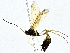  ( - BIOUG76548-D09)  @11 [ ] CreativeCommons - Attribution (2022) CBG Photography Group Centre for Biodiversity Genomics