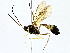  ( - BIOUG76548-D10)  @11 [ ] CreativeCommons - Attribution (2022) CBG Photography Group Centre for Biodiversity Genomics