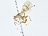  ( - BIOUG76548-G10)  @11 [ ] CreativeCommons - Attribution (2022) CBG Photography Group Centre for Biodiversity Genomics