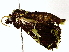  ( - BIOUG76549-F06)  @11 [ ] CreativeCommons - Attribution (2022) CBG Photography Group Centre for Biodiversity Genomics