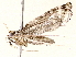  ( - BIOUG76550-B11)  @11 [ ] CreativeCommons - Attribution (2022) CBG Photography Group Centre for Biodiversity Genomics