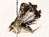  ( - BIOUG76550-F05)  @11 [ ] CreativeCommons - Attribution (2022) CBG Photography Group Centre for Biodiversity Genomics