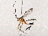  ( - BIOUG76550-H06)  @11 [ ] CreativeCommons - Attribution (2022) CBG Photography Group Centre for Biodiversity Genomics