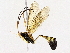  ( - BIOUG76551-F04)  @11 [ ] CreativeCommons - Attribution (2022) CBG Photography Group Centre for Biodiversity Genomics