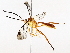  ( - BIOUG76551-F06)  @11 [ ] CreativeCommons - Attribution (2022) CBG Photography Group Centre for Biodiversity Genomics