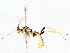  ( - BIOUG76551-F09)  @11 [ ] CreativeCommons - Attribution (2022) CBG Photography Group Centre for Biodiversity Genomics