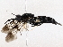  ( - BIOUG76551-G02)  @11 [ ] CreativeCommons - Attribution (2022) CBG Photography Group Centre for Biodiversity Genomics