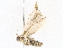  ( - BIOUG76551-G05)  @11 [ ] CreativeCommons - Attribution (2022) CBG Photography Group Centre for Biodiversity Genomics