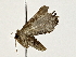  ( - BIOUG80709-E01)  @11 [ ] CreativeCommons - Attribution (2022) CBG Photography Group Centre for Biodiversity Genomics