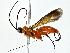  ( - BIOUG80749-E01)  @11 [ ] CreativeCommons - Attribution (2022) CBG Photography Group Centre for Biodiversity Genomics