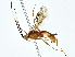  ( - BIOUG80749-F10)  @11 [ ] CreativeCommons - Attribution (2022) CBG Photography Group Centre for Biodiversity Genomics