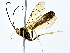  ( - BIOUG80750-B10)  @11 [ ] CreativeCommons - Attribution (2022) CBG Photography Group Centre for Biodiversity Genomics
